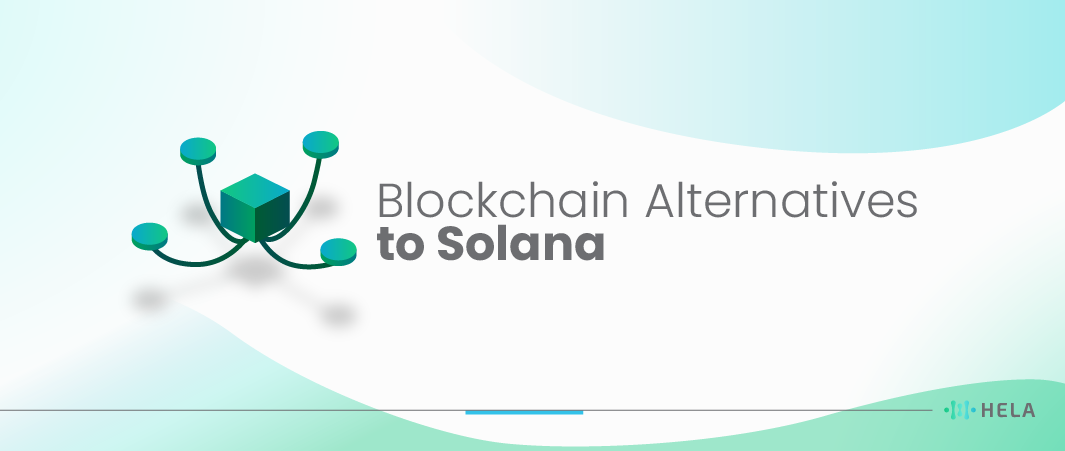 Solana Competitors