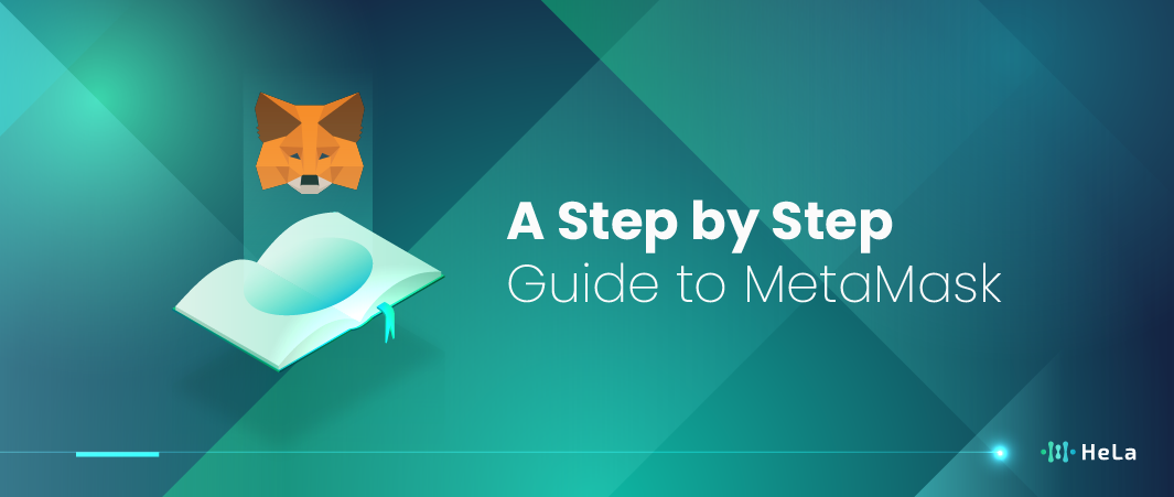 How to Add an EVM Network to Metamask?
