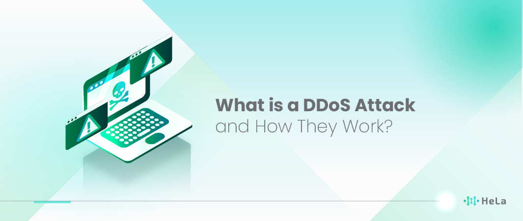 What is a DDoS Attack?