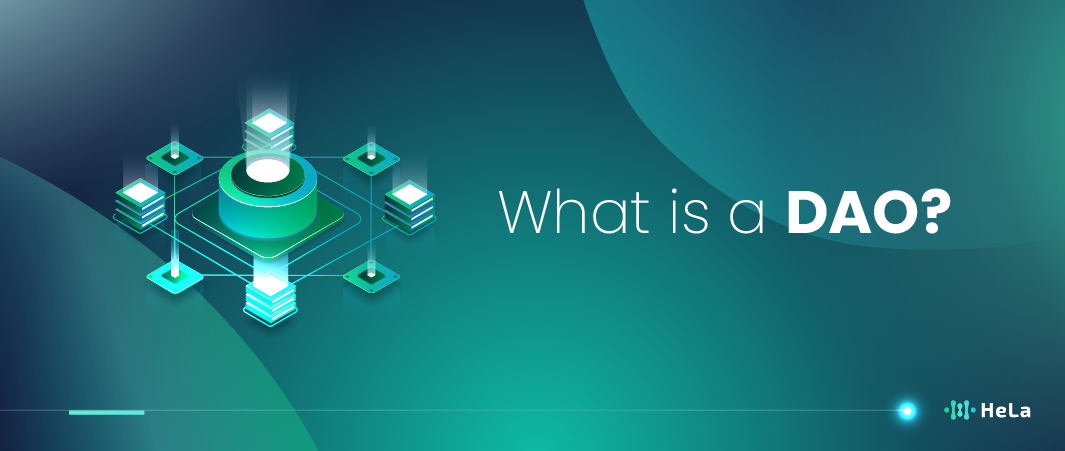 What is a DAO