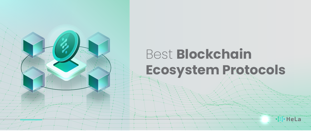 12 Best Blockchain Ecosystem Protocols in 2024