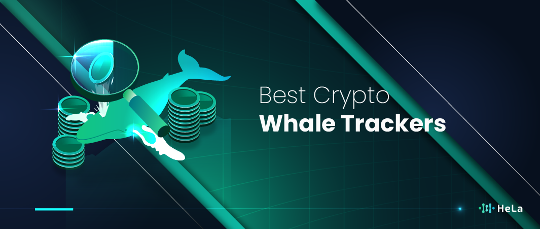 Best Crypto Whale Trackers
